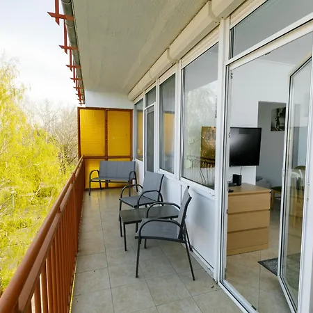 Zamia 2 By Interhome