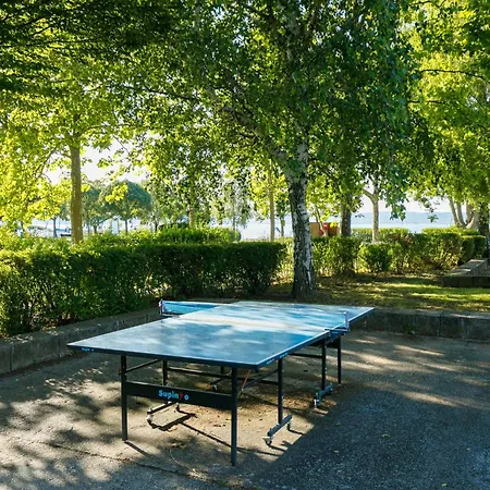 Zamia 2 By Interhome Διαμέρισμα Zamárdi