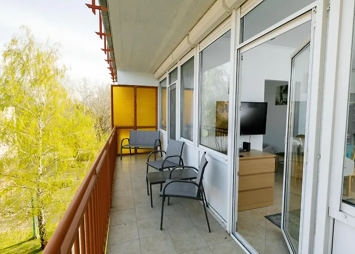 Zamia 2 By Interhome